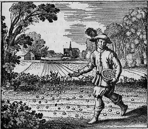 Atalanta Fugiens-Emblem 6.jpg