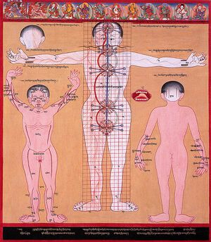 Chakras and energy channels 2 (3749594497).jpg