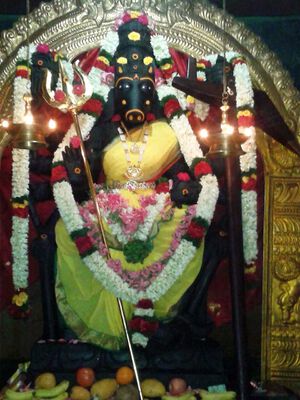 Nava shakthi Maha Varahi.jpg