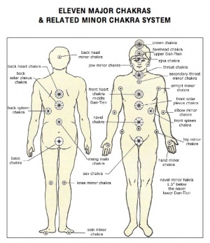 11 chakras.jpg